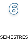 6 semestres